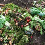 jak zrobić kompost, newgreen.pl