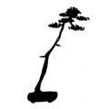 styl literacki bonsai - bunjingi